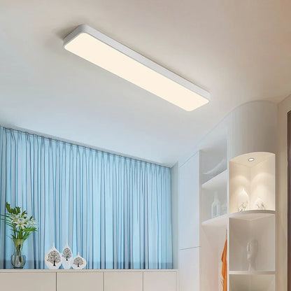 Dimmable LED Ceiling Light for Modern Elegant Living Spaces